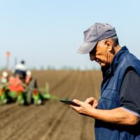 Comissão simplifica a política agrícola comum para apoiar os agricultores e reforçar a competitividade