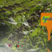 AgriJovem 2025: Comissão Europeia anuncia iniciativa para futuros profissionais do setor agrícola