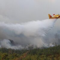 Número recorde de incêndios florestais em 2025 apela a uma ação mais forte da União Europeia