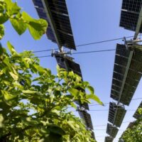 União Europeia reforça estabilidade e previsibilidade do seu mercado do carbono