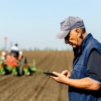 Comissão Europeia propõe ajuda financeira de 540 milhões de euros e outros apoios para agricultores que enfrentam crise no setor dos adubos