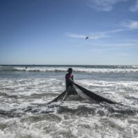 Conferência «O Nosso Oceano»: UE disponibiliza mais de 338 milhões de euros para a proteção dos oceanos