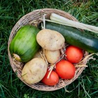 Segurança alimentar: relatório anual da Comissão Europeia evidencia rigor dos controlos dos alimentos para proteção dos cidadãos