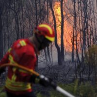 União Europeia mobiliza aviões e bombeiros para apoiar França e Espanha no combate aos incêndios florestais
