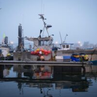 Comissão apresenta a sua Visão 2040 para um setor das pescas e da aquicultura próspero