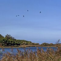 UE investe mais de 390 milhões de euros em 135 novos projetos no domínio do clima e do ambiente